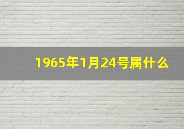 1965年1月24号属什么