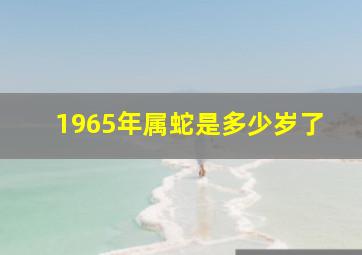 1965年属蛇是多少岁了