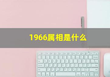 1966属相是什么