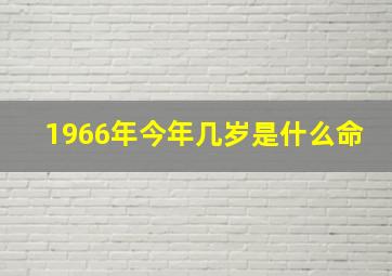 1966年今年几岁是什么命