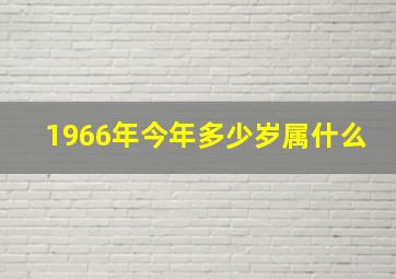 1966年今年多少岁属什么