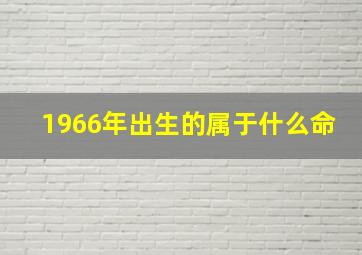 1966年出生的属于什么命