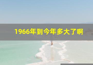 1966年到今年多大了啊