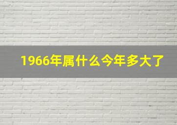 1966年属什么今年多大了