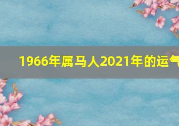 1966年属马人2021年的运气