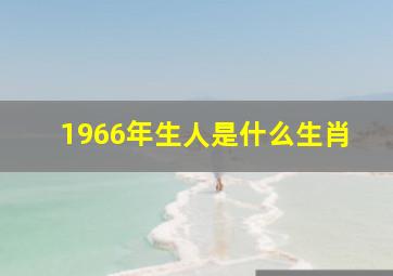 1966年生人是什么生肖