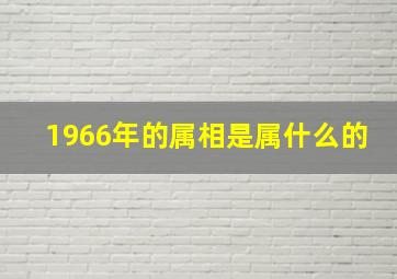 1966年的属相是属什么的