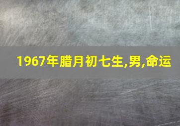 1967年腊月初七生,男,命运