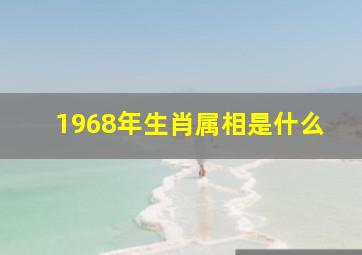 1968年生肖属相是什么