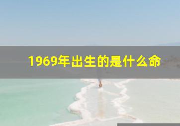 1969年出生的是什么命