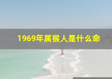 1969年属猴人是什么命