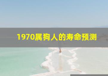 1970属狗人的寿命预测