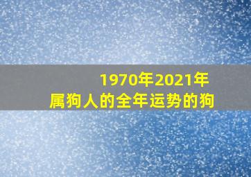 1970年2021年属狗人的全年运势的狗