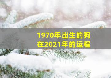 1970年出生的狗在2021年的运程