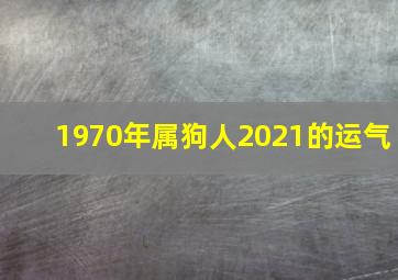 1970年属狗人2021的运气