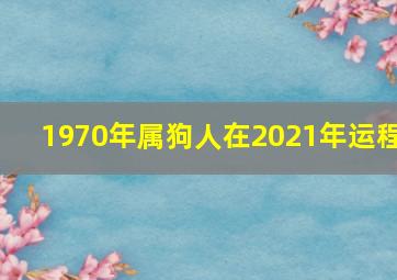 1970年属狗人在2021年运程