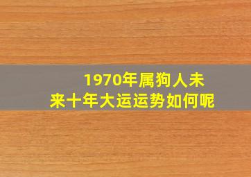 1970年属狗人未来十年大运运势如何呢