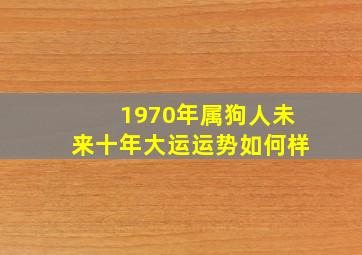 1970年属狗人未来十年大运运势如何样