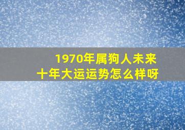 1970年属狗人未来十年大运运势怎么样呀