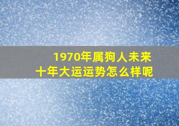 1970年属狗人未来十年大运运势怎么样呢