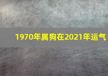 1970年属狗在2021年运气