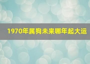 1970年属狗未来哪年起大运