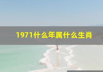 1971什么年属什么生肖