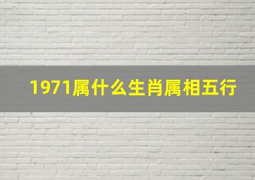 1971属什么生肖属相五行