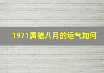 1971属猪八月的运气如何