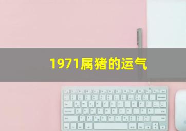 1971属猪的运气