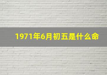 1971年6月初五是什么命