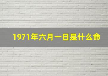 1971年六月一日是什么命