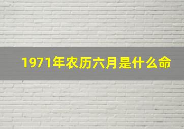 1971年农历六月是什么命