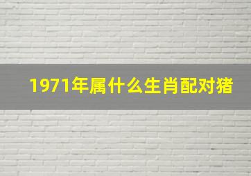 1971年属什么生肖配对猪