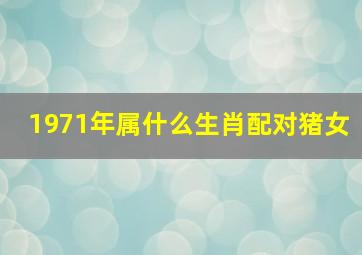 1971年属什么生肖配对猪女