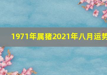 1971年属猪2021年八月运势