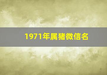 1971年属猪微信名