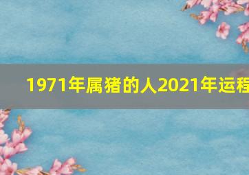 1971年属猪的人2021年运程