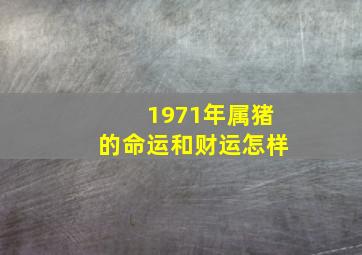 1971年属猪的命运和财运怎样