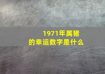 1971年属猪的幸运数字是什么