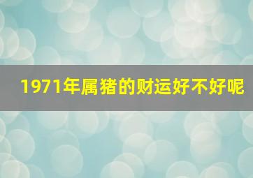 1971年属猪的财运好不好呢