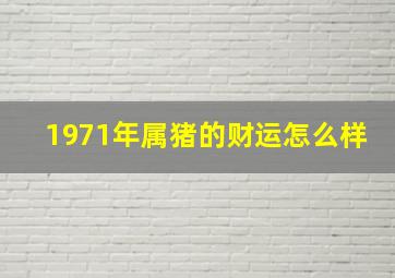 1971年属猪的财运怎么样