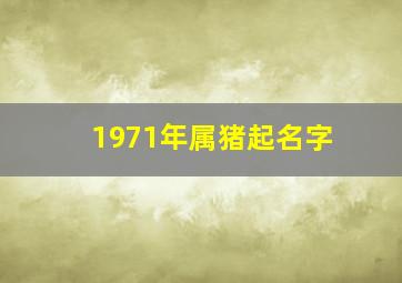 1971年属猪起名字