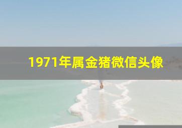 1971年属金猪微信头像