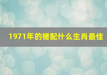 1971年的猪配什么生肖最佳