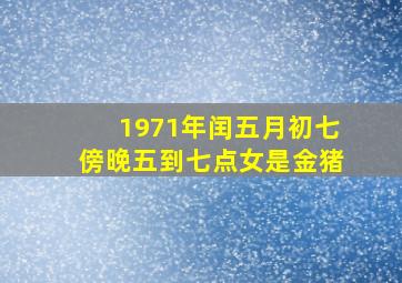 1971年闰五月初七傍晚五到七点女是金猪