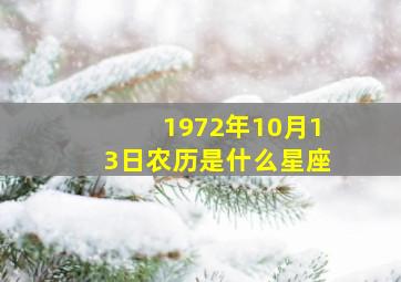 1972年10月13日农历是什么星座