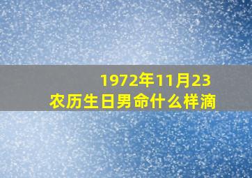 1972年11月23农历生日男命什么样滴