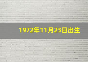 1972年11月23日出生