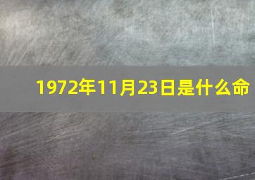 1972年11月23日是什么命